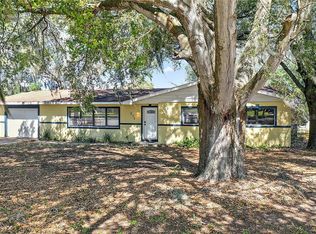 231 E Pomelo St, Groveland, FL 34736