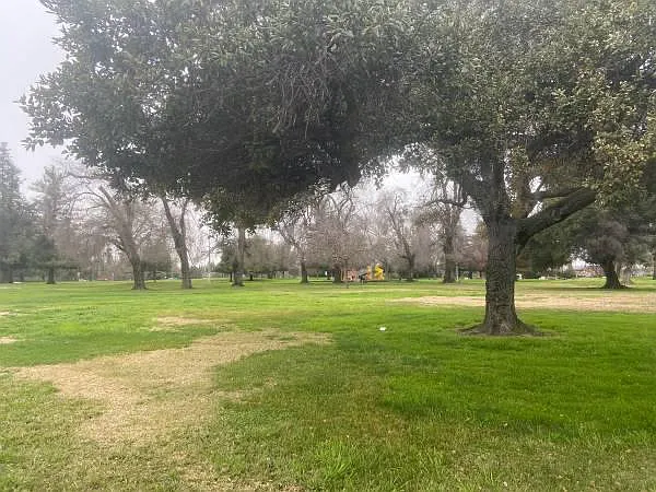 Peachtree Dr, Stockton — Photo 1