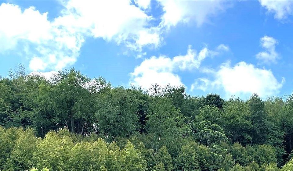 2nd image of Lippincott Rd