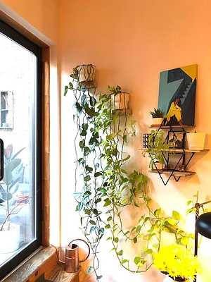 Rented by Lone Peak Realty | media 65