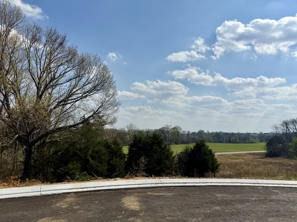 527 Divine Ct, Arrington, TN 37014