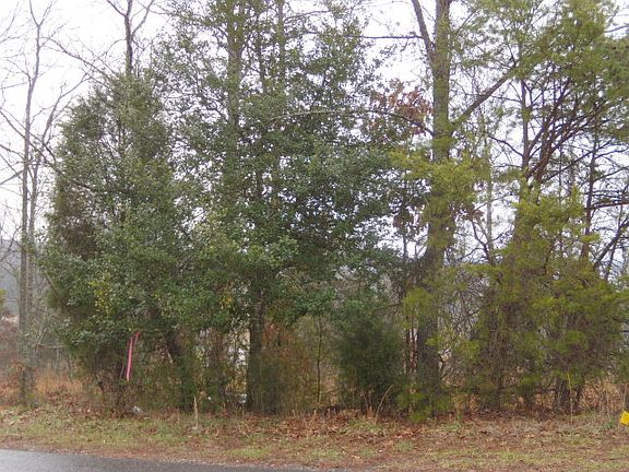 5th image of 109 Lara Lee Ln