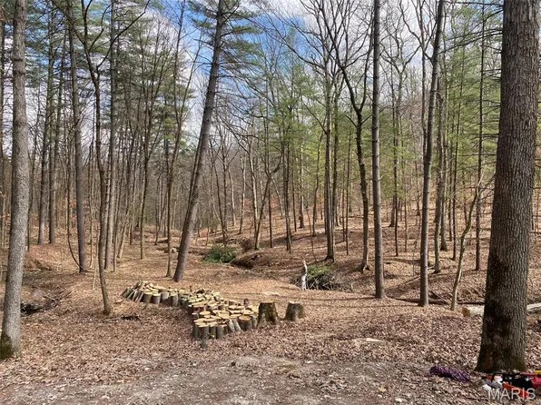 1400 Timber Valley Ct, Pacific, MO 63069