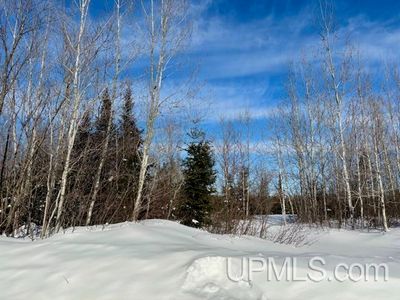 5586 N Shore Helen Lake Rd, Ishpeming, MI, 49849