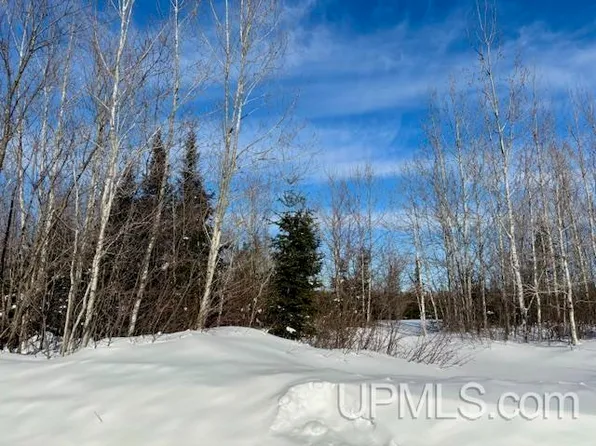 5586 N Shore Helen Lake Rd, Ishpeming, MI 49849