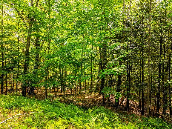2nd image of 0 Narrows Road