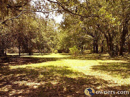Back yard view from house