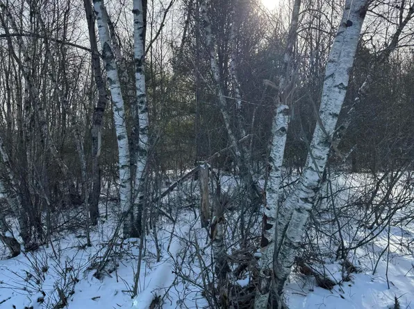 lot#7 Happy Town Road Road, Orland, ME 04472