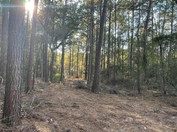 13034 Hackberry Dr, Plantersville, TX 77363