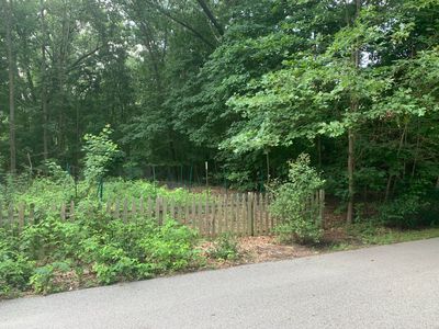Chippewa Ave, Saugatuck, MI, 49453