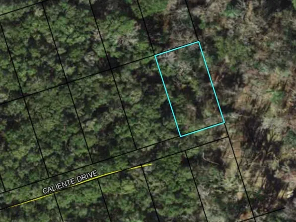 LOT 7 Caliente Dr, Crawfordville, FL 32327