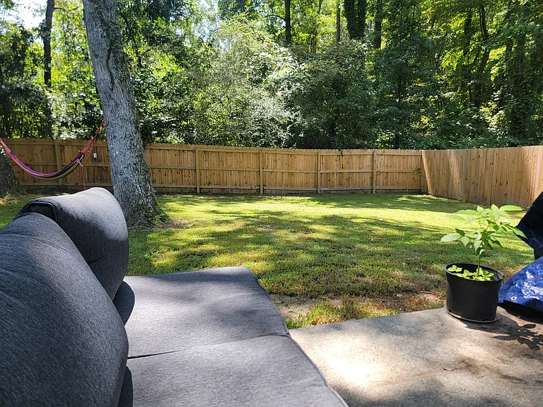 Forest Path — Photo 20