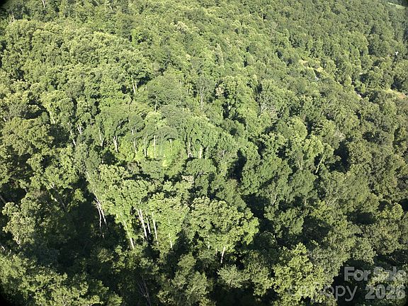 2nd image of Ox Creek Rd
