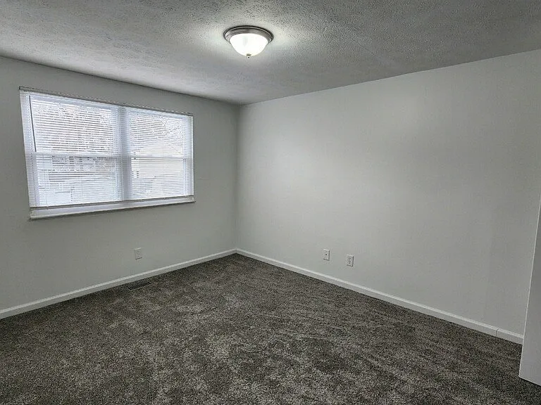 259 Windsor Castle Dr — Photo 15