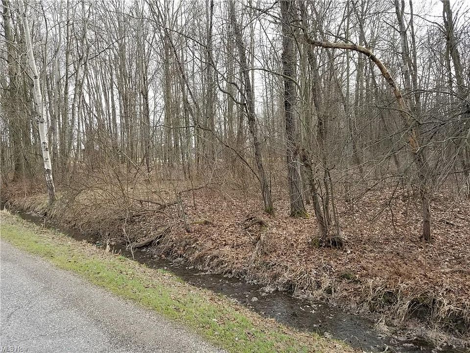 2nd image of Bristol Champion Townline Rd NW