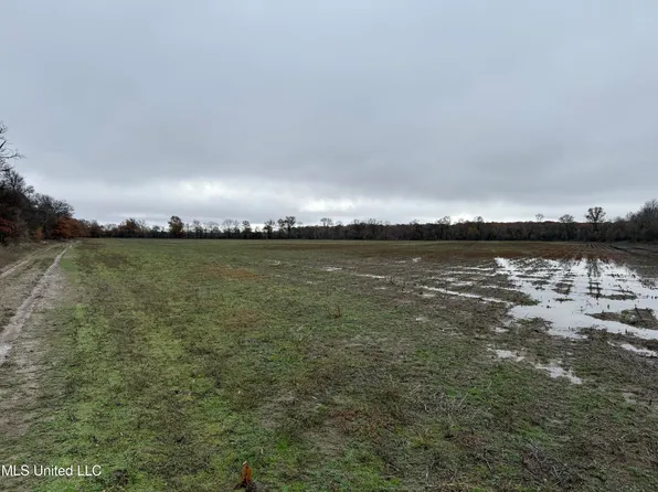 1 Denton Rd, Lambert, MS 38643