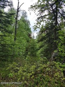 17457 W Marion Dr, Wasilla, AK, 99623