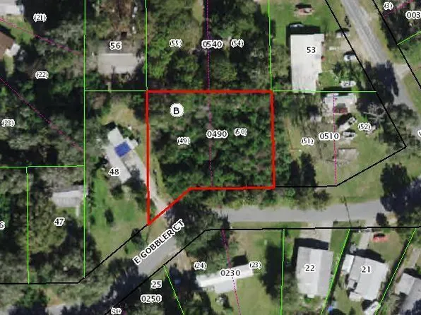 8167 E Gobbler Ct, Floral City, FL 34436