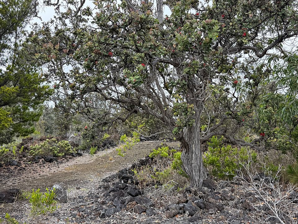 1st image of Pineapple Pkwy Lot 26