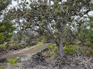 Pineapple Pkwy Lot 26, Captain Cook, HI 96704