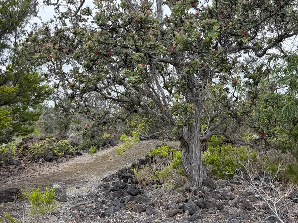 Pineapple Pkwy Lot 26, Captain Cook, HI 96704