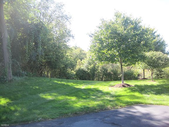 Side yard view.