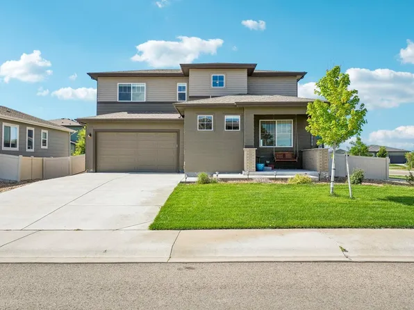 3801 Beech Tree St, Wellington, CO 80549
