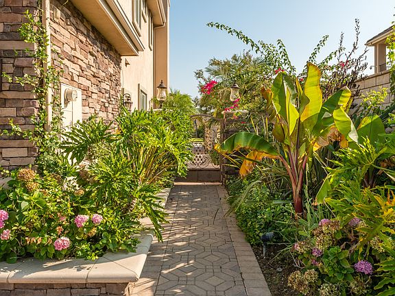 East Side of Property