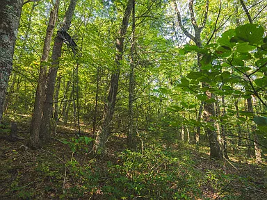 Property photo 42