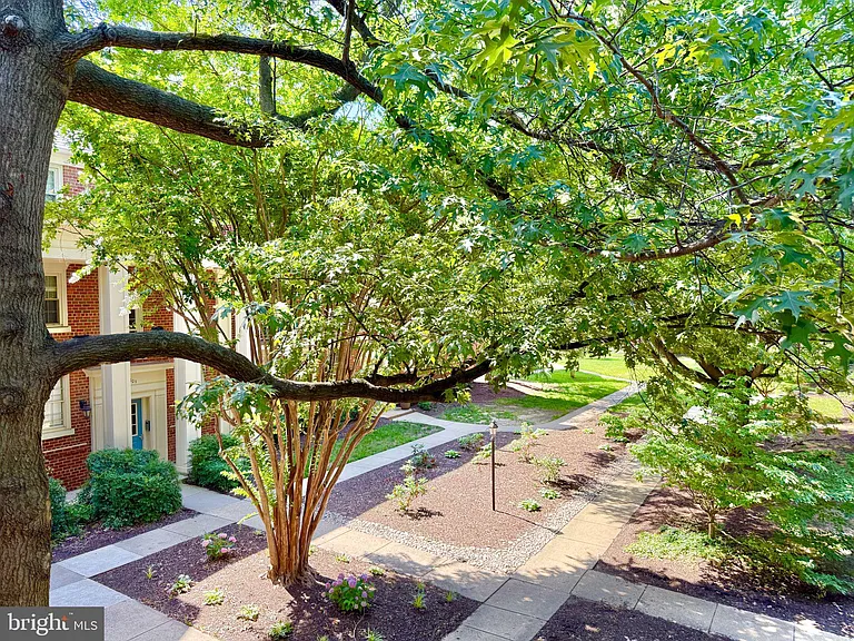 1407 E Abingdon Dr #4 — Photo 20