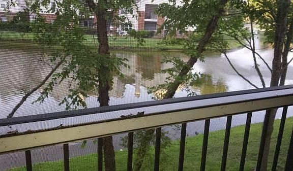 View from porch