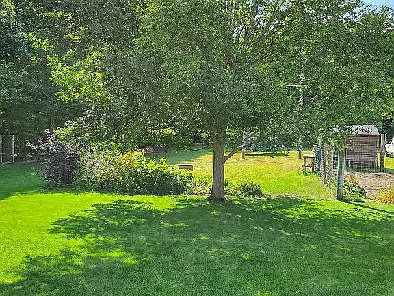 Backyard with beautiful lawn