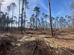 9.24 Acre Hwy #590, Seminary, MS 39479