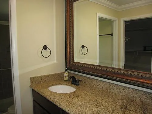 view of master vanity