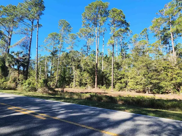 Georgetown Denver Rd, Georgetown, FL 32139