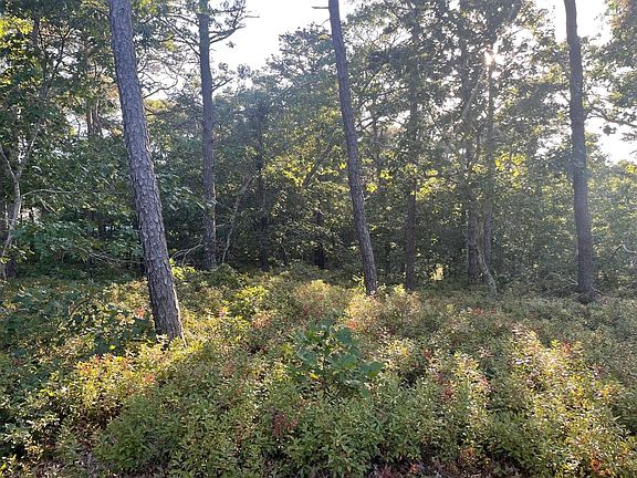 5th image of 30 Sam Hollow Rd