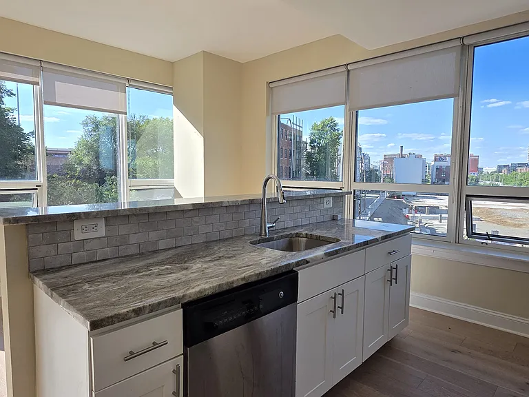 252 N Christopher Columbus Blvd #303 — Photo 10