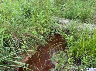 TRACT 1 Hallelujah Rd, Mount Croghan, SC 29727