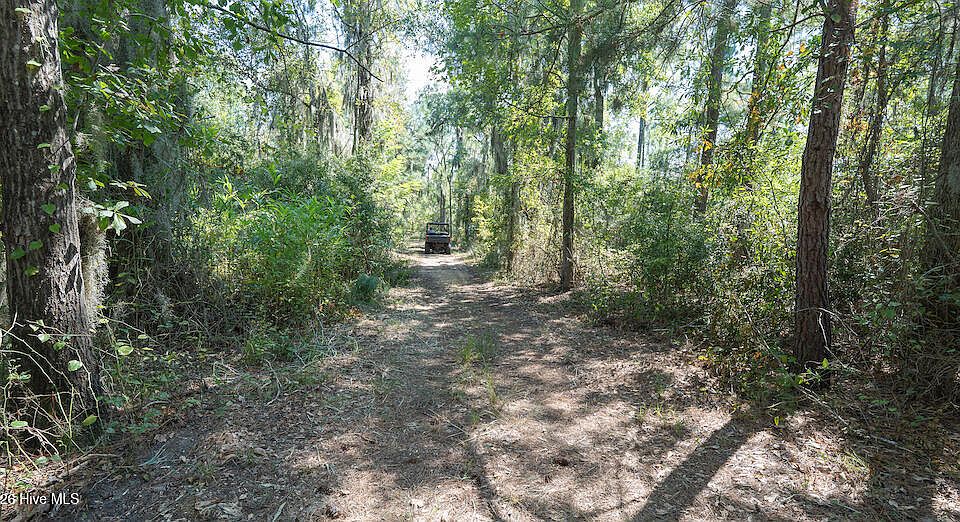 49th image of this home