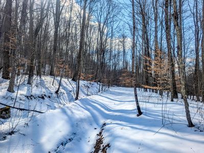 0 Peaker Run Rd Tract 15, Macksburg, OH, 45746