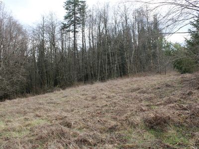 Neer City Rd, Rainier, OR, 97048
