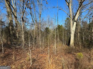 0 Paul Vandiver Rd, Carnesville, GA 30521