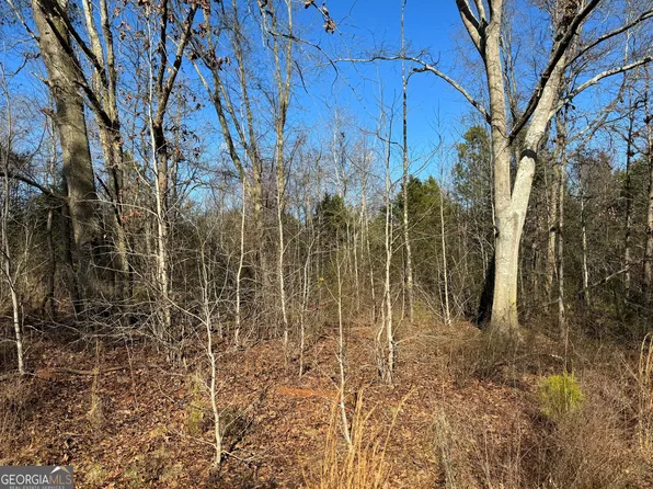0 Paul Vandiver Rd, Carnesville, GA 30521