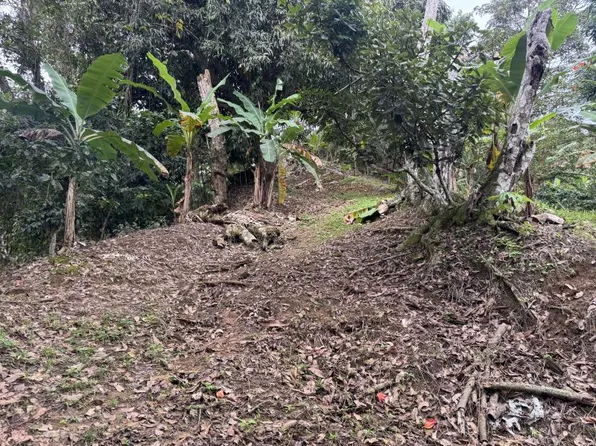 Bo Montes Llanos Carr 505 Sector La Estancita, Ponce, PR 00731