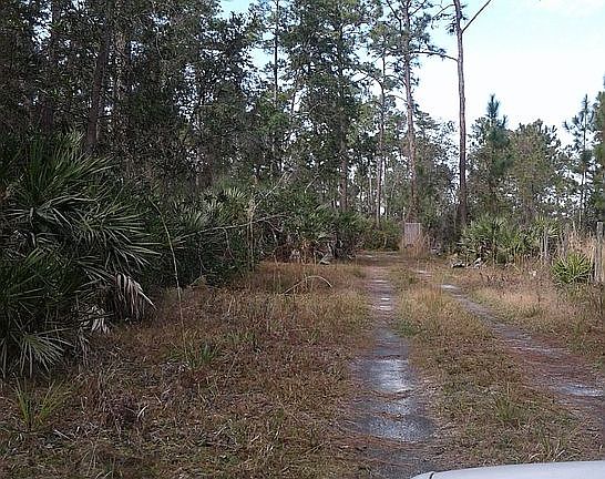 2nd image of 4151 Swamp Deer Rd