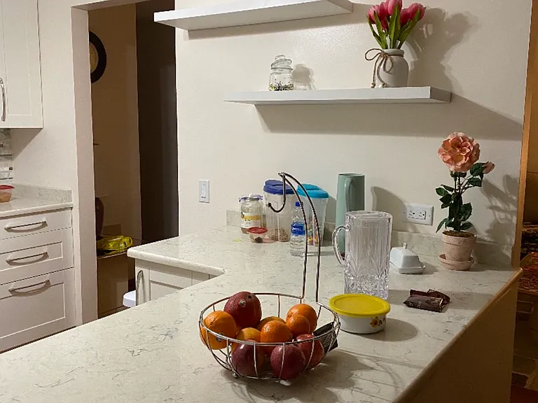 1056 Deerpath Ct — Photo 31