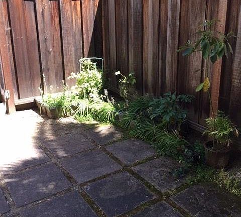 5th image of 150 Tasso St