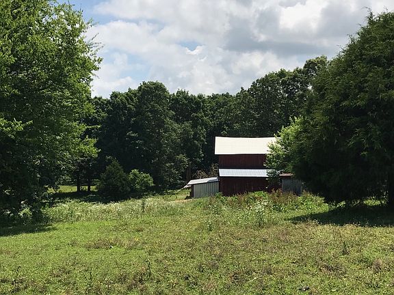 Gently sloping pasture