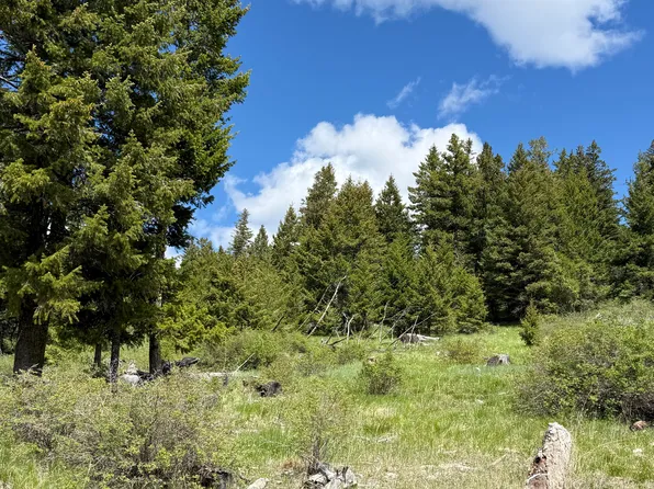 Tbd Toroda Creek Rd, Wauconda, WA 98859