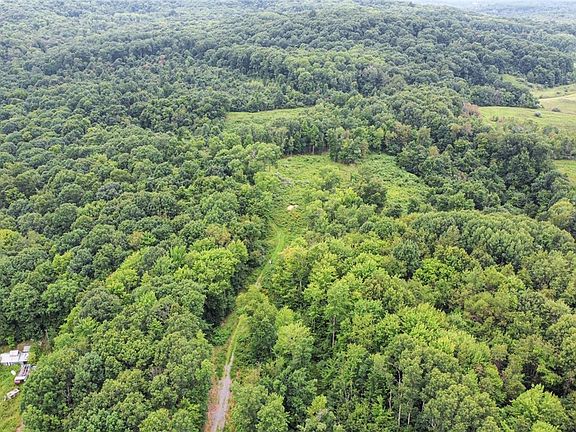 5th image of 43998 Hammond School Rd